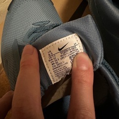 ナイキ ペガサス トレイル 5 GORE-TEX メンズ 防水 トレイル ランニングシューズの画像