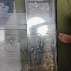 アクリル水槽の画像