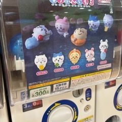 【定価譲渡or交換】譲(うさぎ･ハチワレ)求(モモンガ)の画像