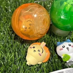 【定価譲渡or交換】譲(うさぎ･ハチワレ)求(モモンガ)の画像