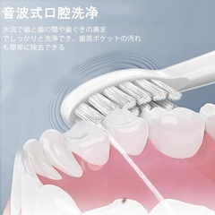 ⭐️1台2役⭐️口腔洗浄器付き電動ハブラシ ジェットウォッシャー 防水 2in1 ⭐️新品未開封の画像