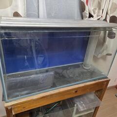 90cmオーバーフロー水槽の画像