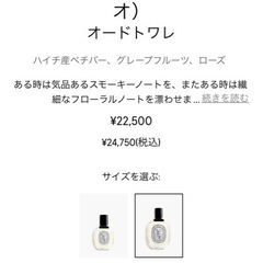 diptyque VETYVERIO 100ml 箱入りの画像