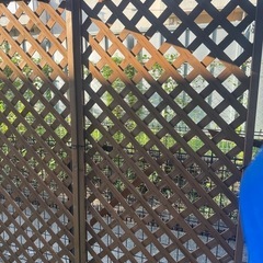 【取引中です。】中古　ラティスの画像