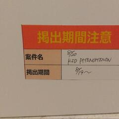 　山本光汰　パネルの画像