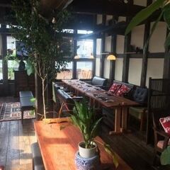 調理師／れんこん食堂の画像