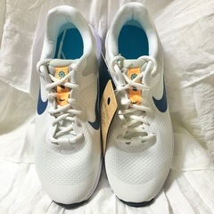 【新品】NIKE スニーカー　25.0cm  (24.0~24.5)軽量　ナイキ　レボリューション6　シューズの画像