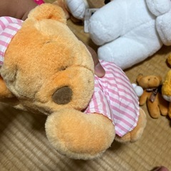 ぬいぐるみ大量の画像