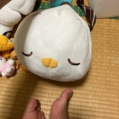 ぬいぐるみ大量の画像