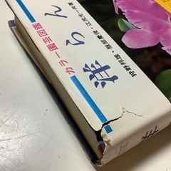 カラー園芸図鑑　洋らん　洋らん愛好家必備の図鑑　主婦の友社刊　カラー370枚の画像