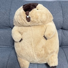 マーモット　ぬいぐるみの画像