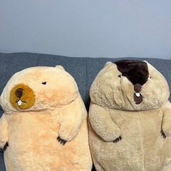 マーモット　ぬいぐるみの画像