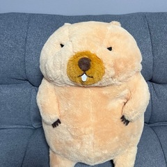 マーモット　ぬいぐるみの画像