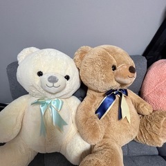 テディベア　クマのぬいぐるみの画像