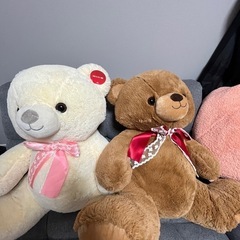 テディベア　クマのぬいぐるみの画像