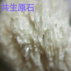 カルサイト🔸バライト スティルバイト共生 原石 A-1 天然石 パワーストーンの画像