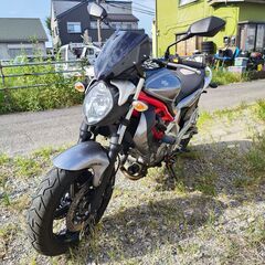 スズキ　グラディウス650　逆輸入車　良コンディション！SV650をご検討中の方にも！の画像