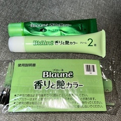 【白髪染め💇🏻‍♀️箱無し】の画像