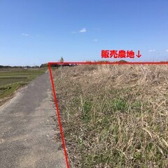 山武市井ノ内　農地　8772m2　（3000,3000,2…