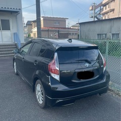 アクアの画像