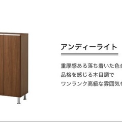 楽天市場購入品　国内製造　美品　下駄箱の画像