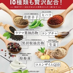 カロリンピュアサプリメント　西彼、長崎市、大瀬戸町相談可の画像