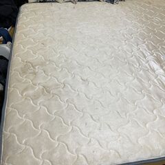 (断捨離中)クイーンベットの画像