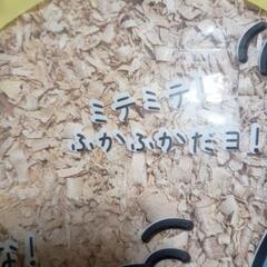 未開封　ハムスターマットの画像