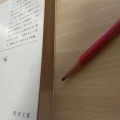 『燃えよ剣（上）』司馬遼太郎　新潮文庫の画像