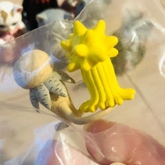 ツチグリぼうやとテアシオカヒトデの画像