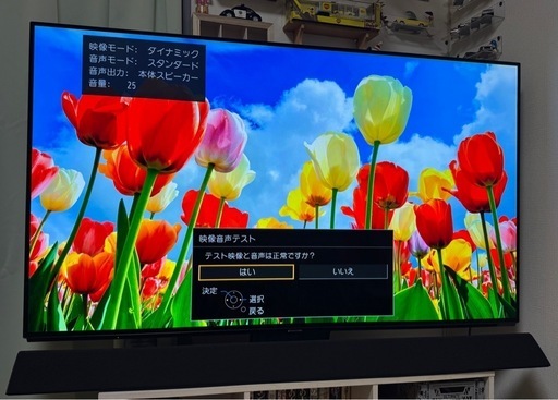 Panasonic 有機ELテレビ 55V型 TH-55FZ1000 2018年