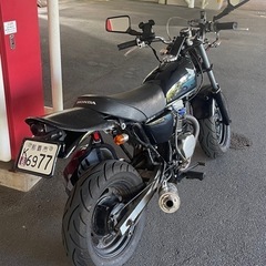 エイプ50 19万の画像