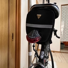 RIDLEY（リドレイ） カーボンフレーム ロードレーサー 2010年代半ば 美品の画像