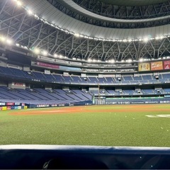 キャッチボールで、日常に投げかける一球を。