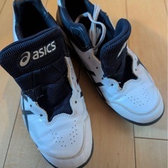 アシックス ポイントスパイク 25.5cmの画像
