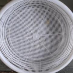 ザルの画像