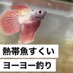 29日、30日　イベント参加のお知らせの画像