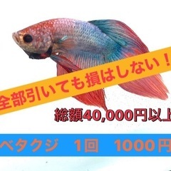 29日、30日　イベント参加のお知らせの画像