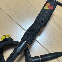 チャンネルアイランド　リーシュコードの画像