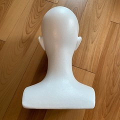 発泡スチロールマネキンの画像