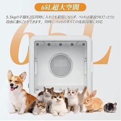 犬 猫 ペット ドライ ルーム ドライヤー ハウス 乾燥 の画像