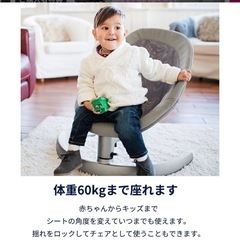 nunaバウンサーリーフグロウの画像