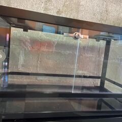 三晃商会 パンテオン ブラック BK6035　1つ 爬虫類用ゲージの画像