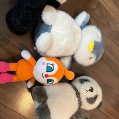 ぬいぐるみ　お洗濯しました！の画像