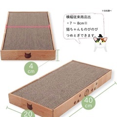 猫の画像