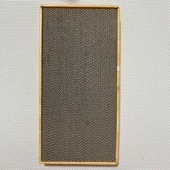 猫の画像