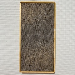 猫の画像