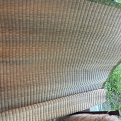 ござ　畳一畳分　2枚セットの画像