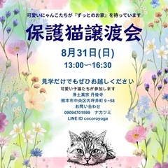 保護猫譲渡会in丹後寺
