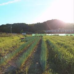 草刈りや除草剤散布など手伝います！